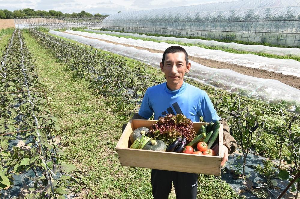 7・8月　計2回定期便　北海道産旬の無農薬栽培　野菜の詰め合わせ6～8種類 【 サニーレタス 水菜 チンゲンサイ さやえんどう スナップエンドウ さやいんげん ささぎ豆 春大根 ズッキーニ なす トマト きゅうり ししとう なんばん オクラ カボチャ じゃがいも にんじん 北海道産 無農薬栽培 野菜セット 季節の野菜 新鮮 お取り寄せ 野菜ボックス 安全 安心 野菜直送 人気 旭川市 】_04700