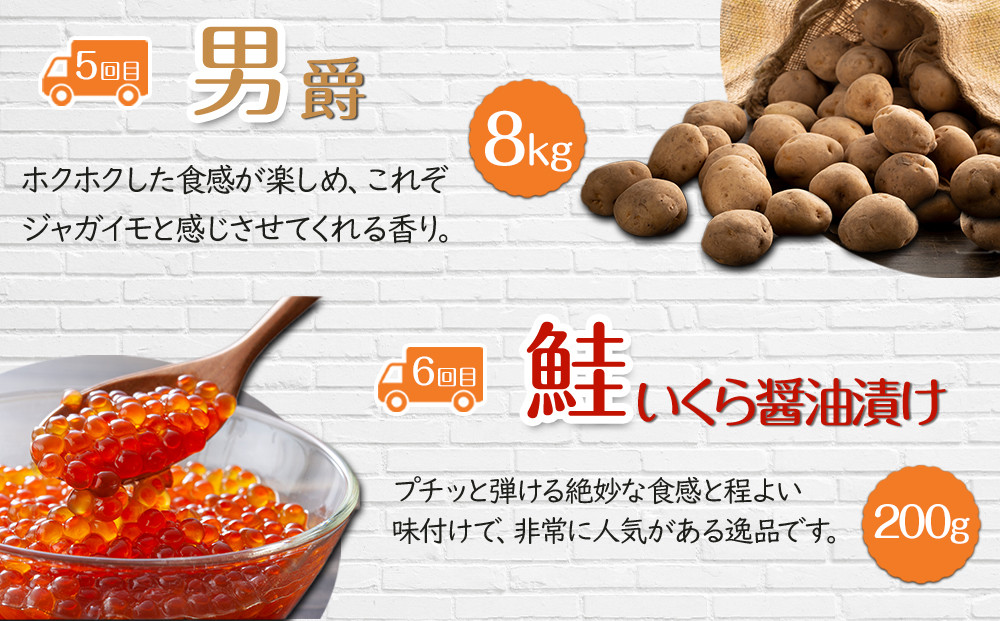 ã26幎5æçºééå§ããã«å€ªé å®æäŸ¿Mã»ããïŒã¢ã¹ãã©ãèµ€èã¡ãã³ãã©ã€ãªã³ã³ãŒã³ãçœããŸã³ãŒã³ãç·çµãç¡æ·»å é®ã€ã¯ã©é€æ²¹æŒ¬ãïŒå
š6å _03826