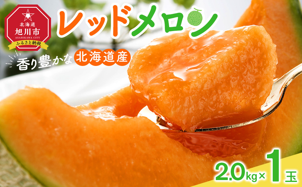【26年発送先行予約】香り豊かな 北海道レッドメロン 2kg×1玉(2026年7月下旬から発送開始予定) 【 果物 くだもの フルーツ メロン 赤肉 赤肉メロン 旬 お取り寄せ 甘い 北海道産 旭川市 北海道 】_05412