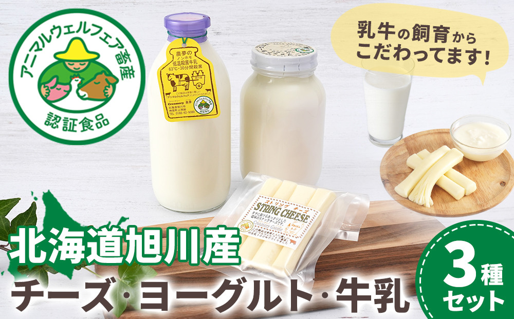 北海道旭川産 チーズ ヨーグルト 牛乳 定番3種セット 【チーズ 牛乳 道産牛乳 チーズセット チーズ ちーず ti-zu cheese CHEESE 北海道 旭川市】_00129