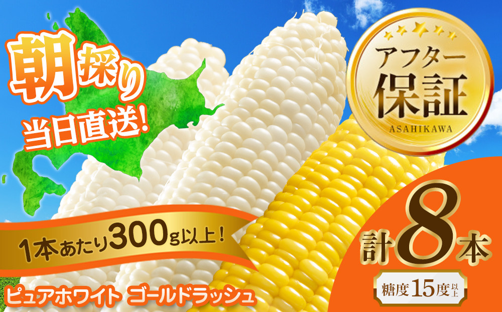 【2026年先行予約】とうもろこしコラボセット!　ピュアホワイト4本×ゴールドラッシュ4本（2026年8月下旬から発送開始予定）【 白いとうもろこし 人気 北海道産 糖度 生 野菜 スイートコーン 産地直送 バーベキュー BBQ コーン 旬 お取り寄せ 旭川市 北海道 】_04561