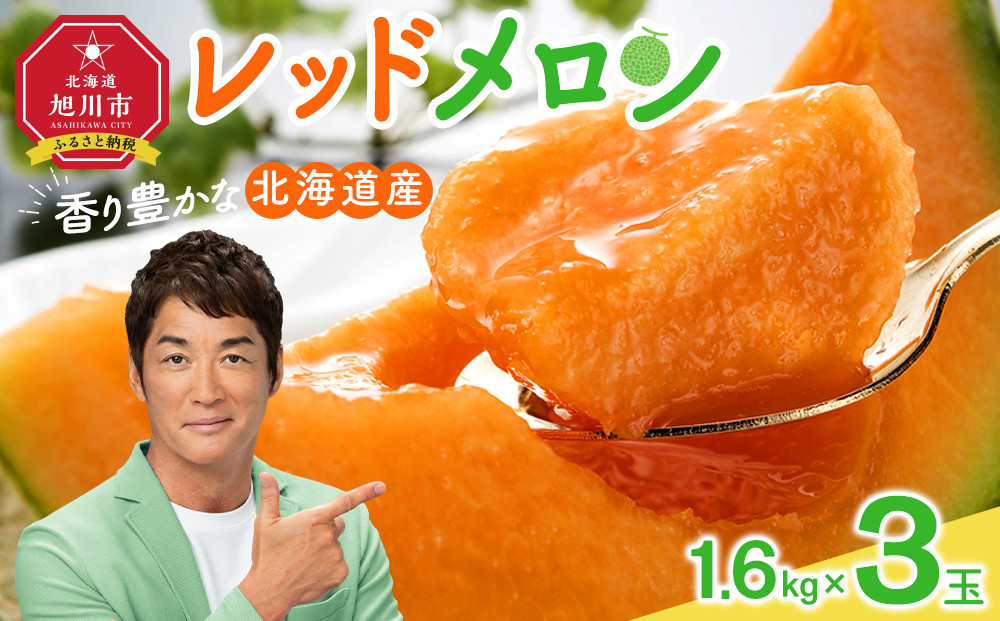 【26年発送先行予約】香り豊かな 北海道レッドメロン 1.6kg×3玉(2026年7月下旬から発送開始予定) 【 果物 くだもの フルーツ メロン 赤肉 赤肉メロン 旬 お取り寄せ 甘い 北海道産 旭川市 北海道 】_05411