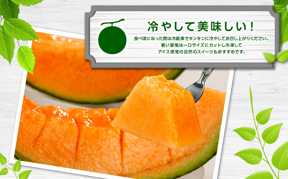 ãå
è¡äºçŽãåæµ·éç£èµ€èã¡ãã³åèš3kgååŸïŒ2çå
¥ïŒ2026幎7æäžæ¬ããé æ¬¡çºéäºå®ã æç© ãã ãã® ãã«ãŒã ã_01979