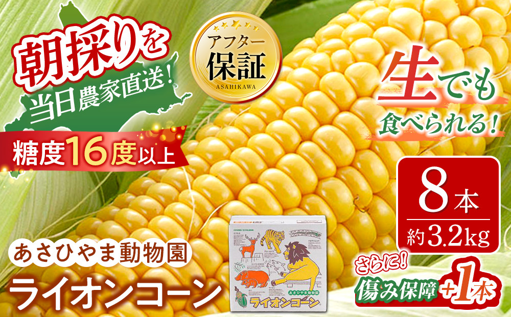 【26年発送先行予約】あさひやま動物園ライオンコーン約3.2kg(ゴールドラッシュ8本)2026年8月下旬から発送開始予定 【 とうもろこし 人気 北海道 糖度 野菜 スイートコーン 産地直送 ゴールドラッシュ コーン 旬 お取り寄せ 旭川市 北海道 】_03812