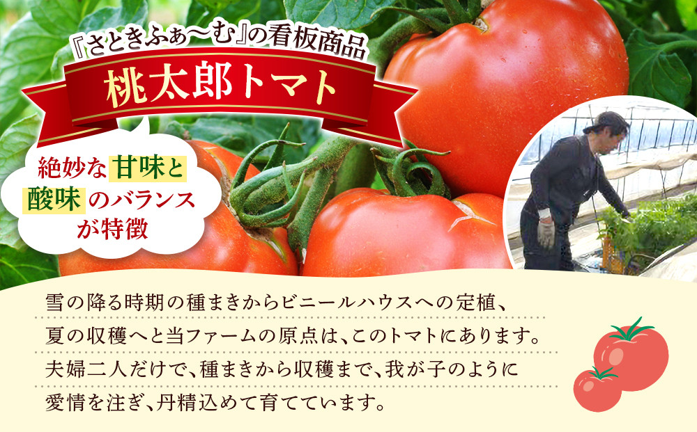 旭川市西神楽産 桃太郎トマト2kg_05907