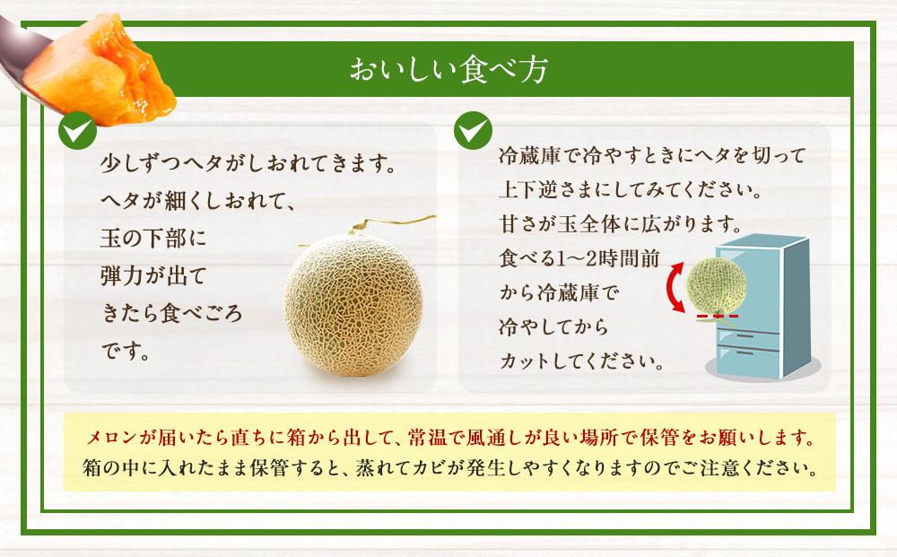 【先行予約】北海道「赤肉メロン」L玉×2個（2024年7月中旬発送開始予定）