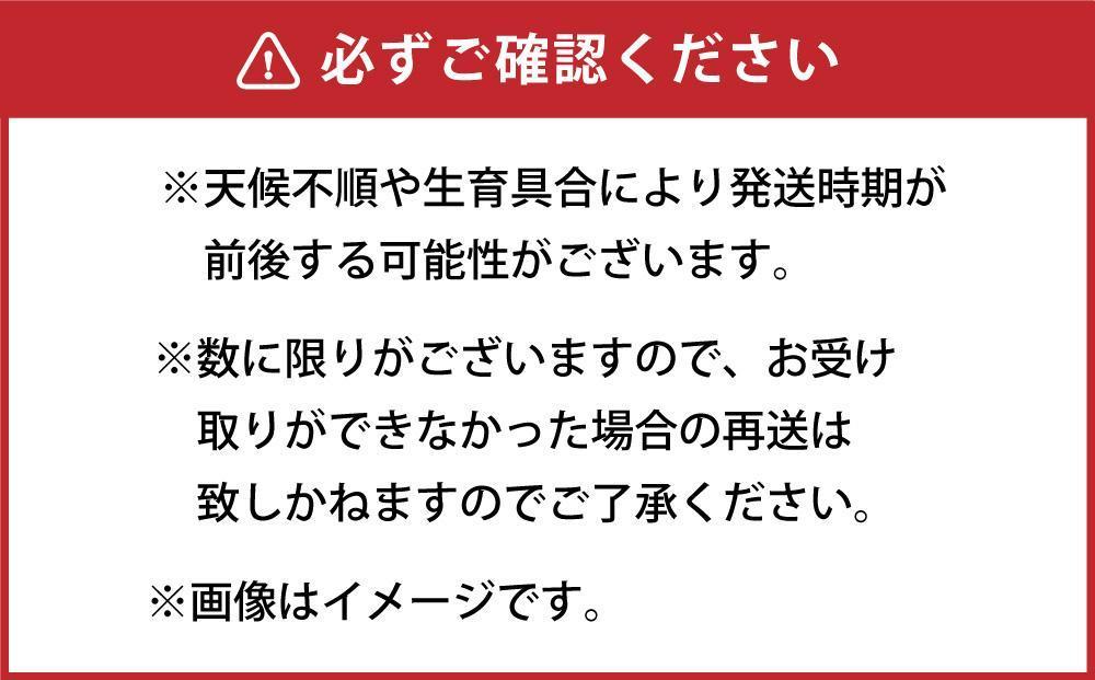 【先行予約】朝採り グリーンアスパラ L 1kg (2024年5月下旬発送予定) 【 アスパラ アスパラガス グリーンアスパラ 朝採り 直送 産地直送 旬 春 北海道 とれたて お取り寄せ 冷蔵配送 冷蔵 旭川市 送料無料 】_03901