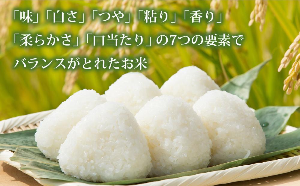 【3回定期便/2025年2月開始】令和6年産 無洗米 旭川ななつぼし 8.1kg（3.75kg×2/300g×2）真空パック 【 白米 精米 ご飯 ごはん 米 お米 ななつぼし 旭川産 旬 旭川市ふるさと納税 北海道ふるさと納税 特A ふるさと納税 旭川市 北海道 送料無料 真空パック 保存 備蓄米 】_02150