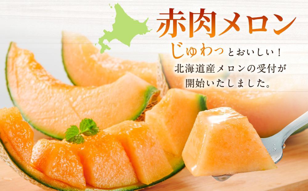 【26年発送先行予約】北海道 秀品 「赤肉メロン」LL玉×2個 (2026年7月発送開始予定) 【 果物 くだもの フルーツ メロン 赤肉 赤肉メロン 旬 お取り寄せ 甘い 北海道産 旭川市 北海道 】_04754