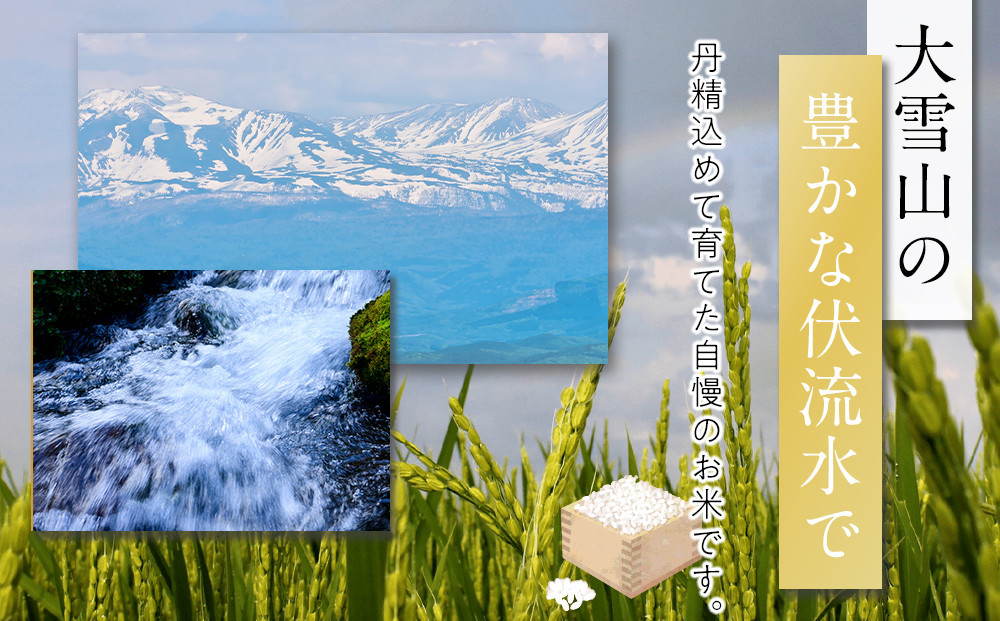 特別栽培米ゆめぴりか精米3kg(3kg×1袋) 令和7年産 _05275