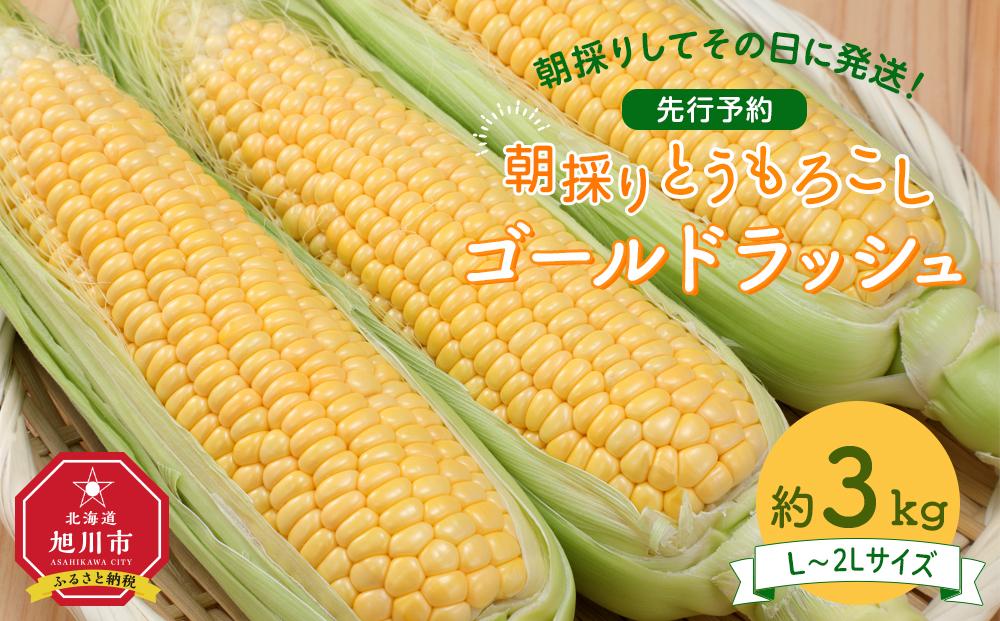 【先行予約】朝採り　とうもろこし　ゴールドラッシュ　約3kg（L～2Lサイズ× 8本）（2025年8月下旬から順次発送予定）【 人気 北海道産 糖度 生 野菜 スイートコーン 産地直送 バーベキュー BBQ コーン 旬 お取り寄せ 旭川市 北海道 】_04659