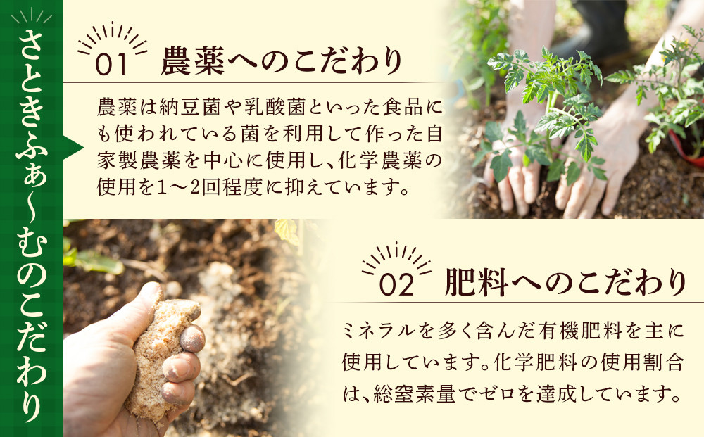 【先行予約】旭川のおまかせ野菜セット(8種以上) (2026年7月下旬発送開始)_05909