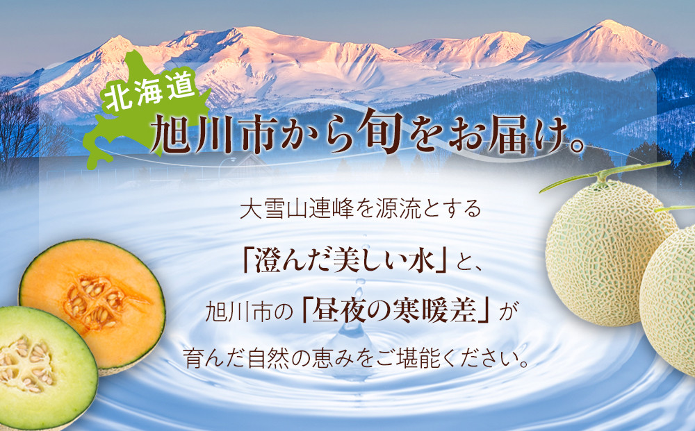 【26年発送先行予約】北海道産赤肉・青肉メロン2玉セット(各約1.6kg×1玉) (2026年7月中旬から発送開始予定) 【メロン 赤肉 赤肉メロン 青肉 レッドメロン グリーンメロン 果物 フルーツ 糖度 甘い 旬 2玉 デザート 旭川市ふるさと納税 北海道ふるさと納税 旭川市 北海道】_02062