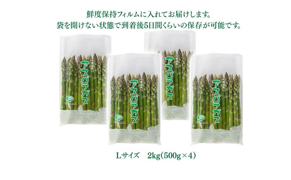 【先行予約】朝採りアスパラ Lサイズ 2kg（500g×4）鮮度保持パック入り 旭川近郊産 露地物(2024年5月中旬発送開始予定)