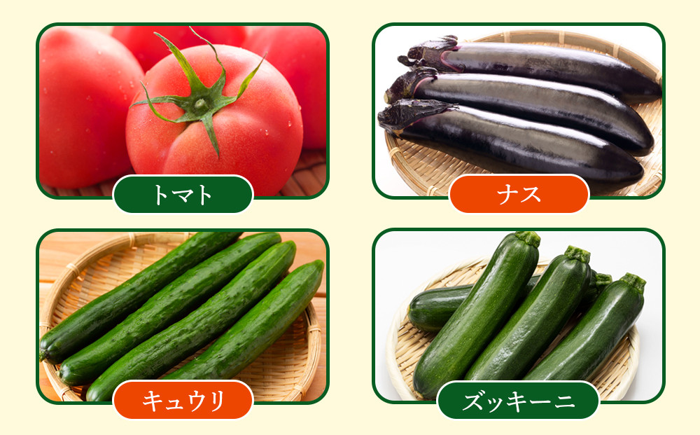 【先行予約】旭川のおまかせ野菜セット(8種以上) (2026年7月下旬発送開始)_05909