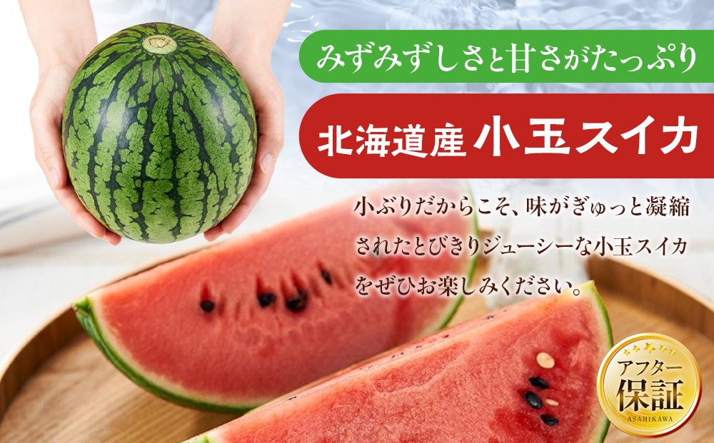 ã26幎çºéå
è¡äºçŽãåæµ·éç£å°çã¹ã€ã«çŽ1.6kgÃ2ç (2026幎7æäžæ¬ããçºééå§äºå®)_02063