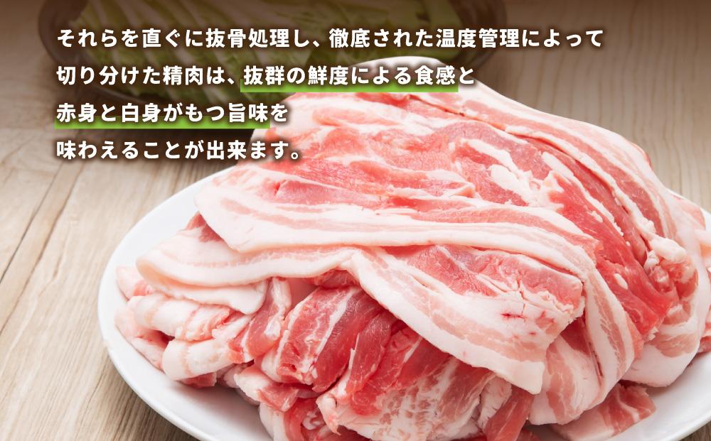【旭川産ブランド豚】希少部位！笹豚バラ1.2kg(300g×4パック)
