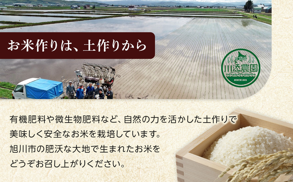 【3月発送】令和7年産　ゆめぴりか 無洗米 真空パック 5kg×2袋 10kg_05241