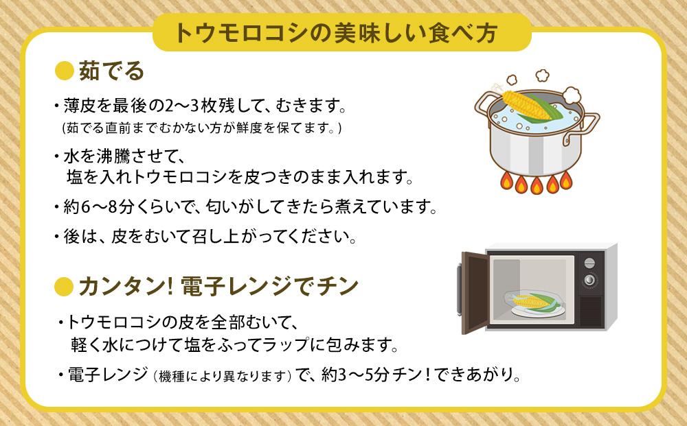 【令和7年6月発送開始】かに太郎定期便Bセット（アスパラ、赤肉メロン、白くまコーン）_01597