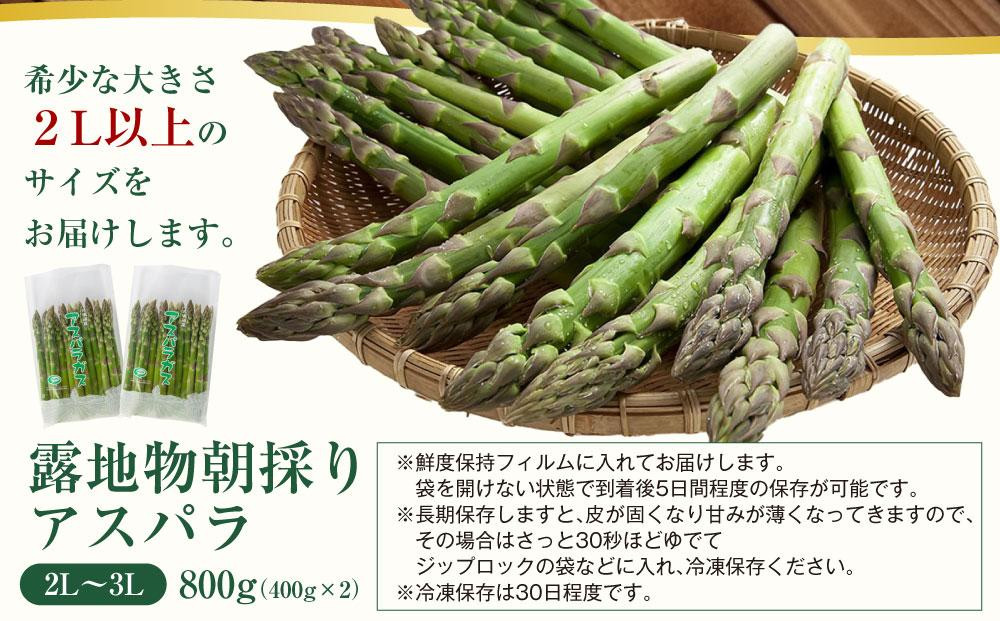 【2026年先行予約】露地物朝採りアスパラ 2L～3Lサイズ800g（400g×2）鮮度保持フィルム入り(5月中旬発送開始予定) 【 アスパラ アスパラガス 朝採り とれたて 野菜 旬 小分け 保存 産直 産地直送 お取り寄せ 旭川市 北海道 】_01593