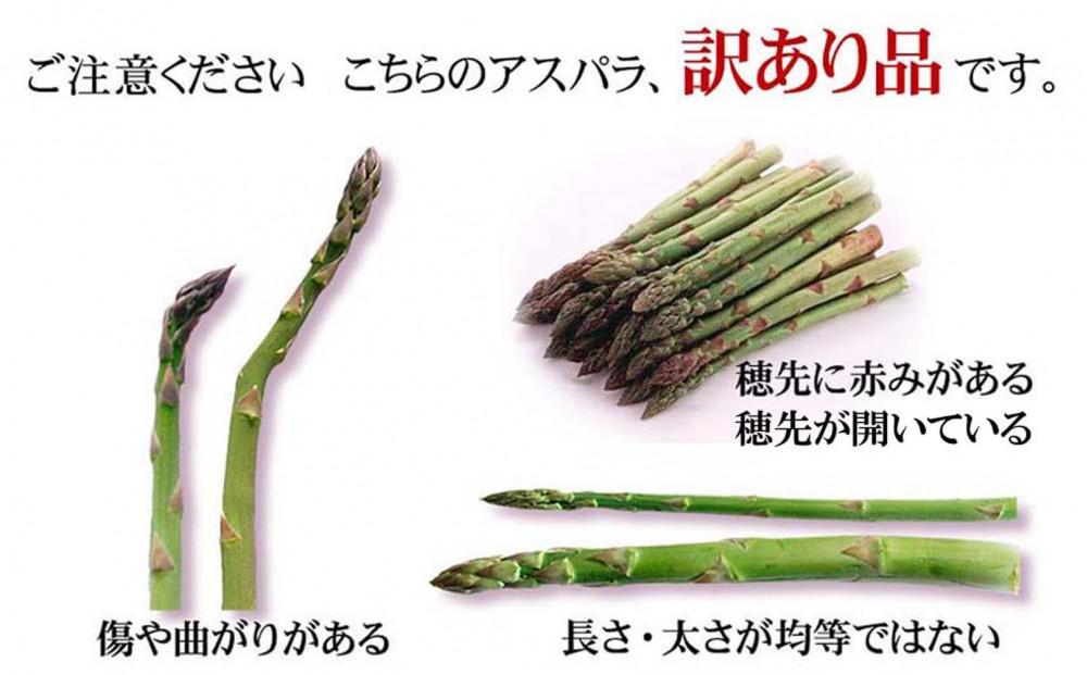 â2026幎å
è¡äºçŽâãèš³ãããé²å°ç©ææ¡ãã¢ã¹ãã© 1.5kgïŒ500gÃ3ïŒé®®åºŠä¿æãã£ã«ã å
¥ã(5æäžæ¬çºééå§äºå®) ã ã¢ã¹ãã© ã¢ã¹ãã©ã¬ã¹ ææ¡ã ãšãã㊠éè æ¬ å°åã ä¿å ç£çŽ ç£å°çŽé ãåãå¯ã æå·åž åæµ·é ã_01589