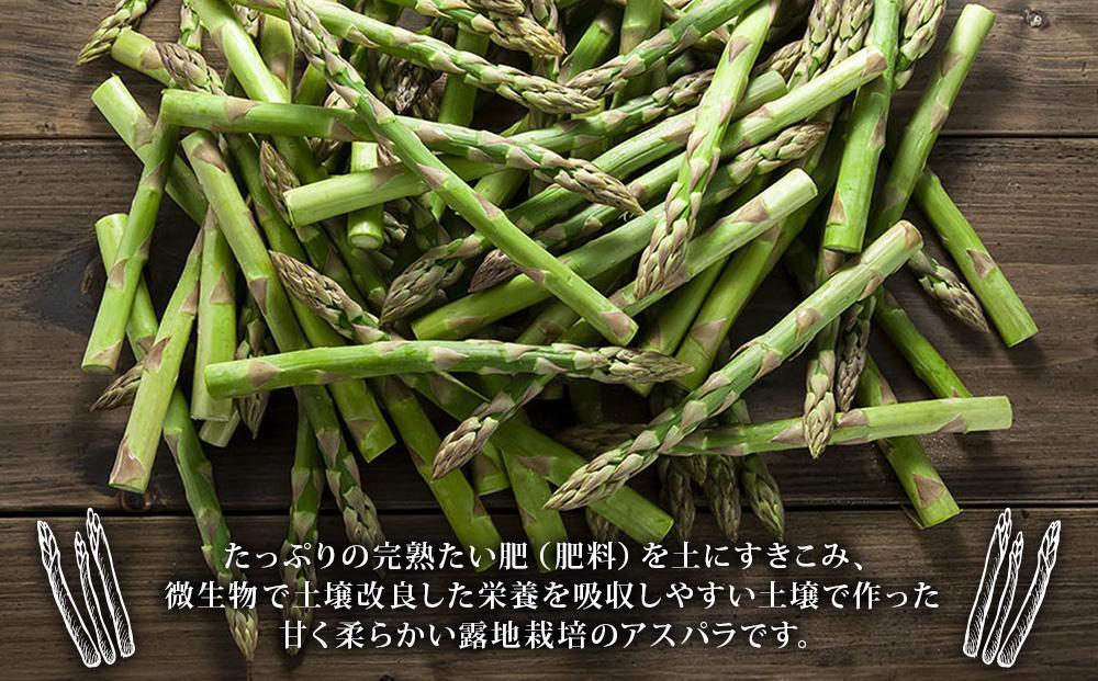 【2026年先行予約】露地物朝採りアスパラ　鮮度保持フィルム入り　Lサイズ　500g×1(5月中旬発送開始予定)【 アスパラ アスパラガス 朝採り とれたて 野菜 旬 小分け 保存 産直 産地直送 お取り寄せ 旭川市 北海道 】_04750