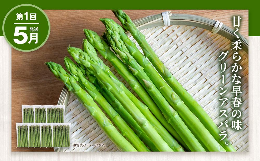 â2026幎çºéå
è¡äºçŽâãå®æäŸ¿ïŒå
š3åãæ¬ã®æ¥µå³ïŒãåžå Žå³éžãéèã»æç©ã»ãã ãã»ãã æå·ç£ ã¡ãã³ èµ€è ãšããããã ã°ãªãŒã³ã¢ã¹ãã© ã¢ã¹ãã©ã¬ã¹ ããŠã¢ãã³ã· ãã«ãŒã éè æ¬ å®æäŸ¿ æç© æå·åž åæµ·éãµãããšçŽçš ã_01562