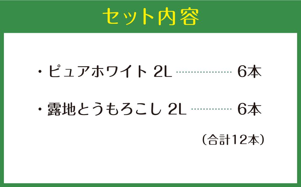 【先行予約】北海道産ピュアホワイト・露地とうもろこし　計12本 2025年8月下旬から発送開始予定 【 白いとうもろこし 人気 北海道産 糖度 生 野菜 スイートコーン 産地直送 バーベキュー BBQ コーン 旬 お取り寄せ 旭川市 北海道 送料無料 】_00113