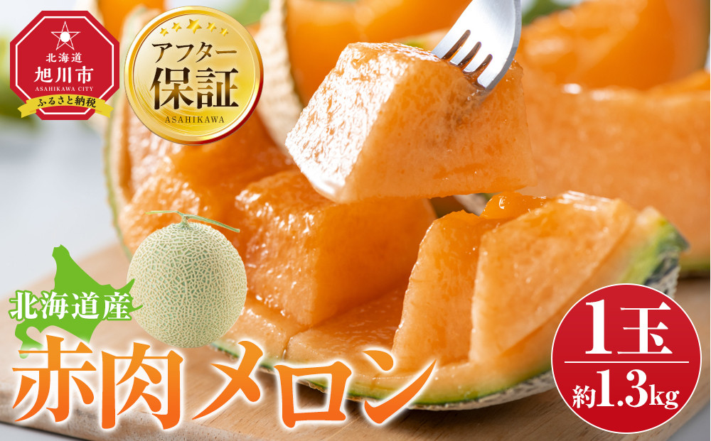 【26年発送先行予約】北海道産赤肉メロン約1.3kg×1玉 (2026年7月中旬から発送開始予定)【 果物 くだもの フルーツ メロン 赤肉 赤肉メロン 旬 お取り寄せ 甘い 北海道産 旭川市 北海道 】_05228