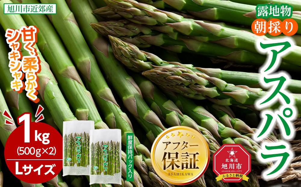 【2026年先行予約】朝採りアスパラ Lサイズ 1kg（500g×2）鮮度保持パック入り 旭川近郊産 露地物(5月中旬発送開始予定) 【 アスパラ アスパラガス 朝採り とれたて 野菜 旬 小分け 保存 産直 産地直送 お取り寄せ 旭川市 北海道 】_01590