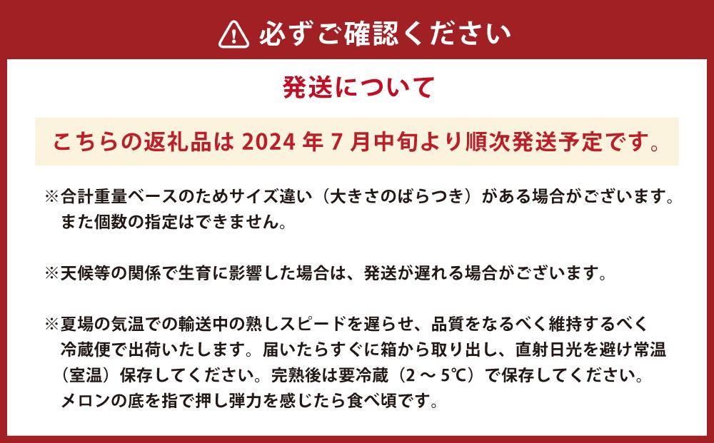 【先行予約】【合計8kg前後】北海道産赤肉メロン（4〜6玉）（2024年7月中旬から順次発送開始予定）