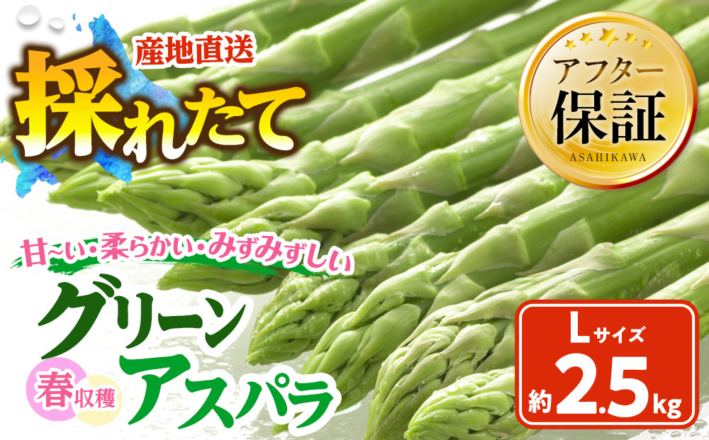 春収穫グリーンアスパラLサイズ（500g×5）約2.5kg（2026年6月上旬から発送開始予定）【 アスパラ アスパラガス 朝採り とれたて 野菜 旬 小分け 保存 産直 産地直送 お取り寄せ 旭川市 北海道 】_05532