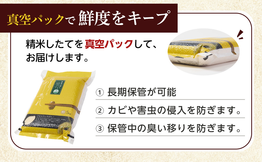 【3月発送】令和7年産　ゆめぴりか 無洗米 真空パック 5kg×1袋 5kg_05240