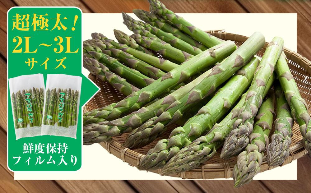 【2026年先行予約】露地物朝採りアスパラ 2L～3Lサイズ800g（400g×2）鮮度保持フィルム入り(5月中旬発送開始予定) 【 アスパラ アスパラガス 朝採り とれたて 野菜 旬 小分け 保存 産直 産地直送 お取り寄せ 旭川市 北海道 】_01593