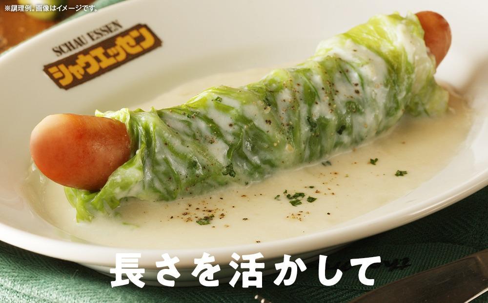 【ふるさと納税】【6ヶ月定期便】シャウエッセン スペシャル ロング 250g 6パック 北海道 旭川 ウインナー ソーセージ あらびき 粗挽き ウィンナー 食品 バーベキュー 豚肉 肉 日本ハム ギフト 小分け 送料無料 定期便 お肉 にく 大容量 レンチン お弁当 惣菜 おかず おつまみ 天然羊腸 _ 00607