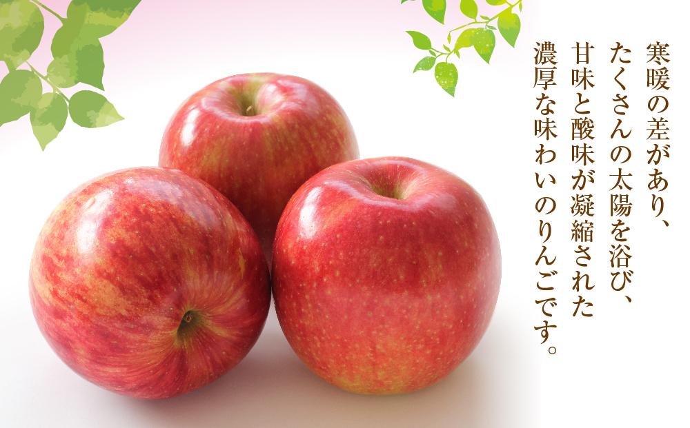 【先行予約】近澤果樹園　りんご「つがる」　5kg(2023年9月下旬順次発送予定)