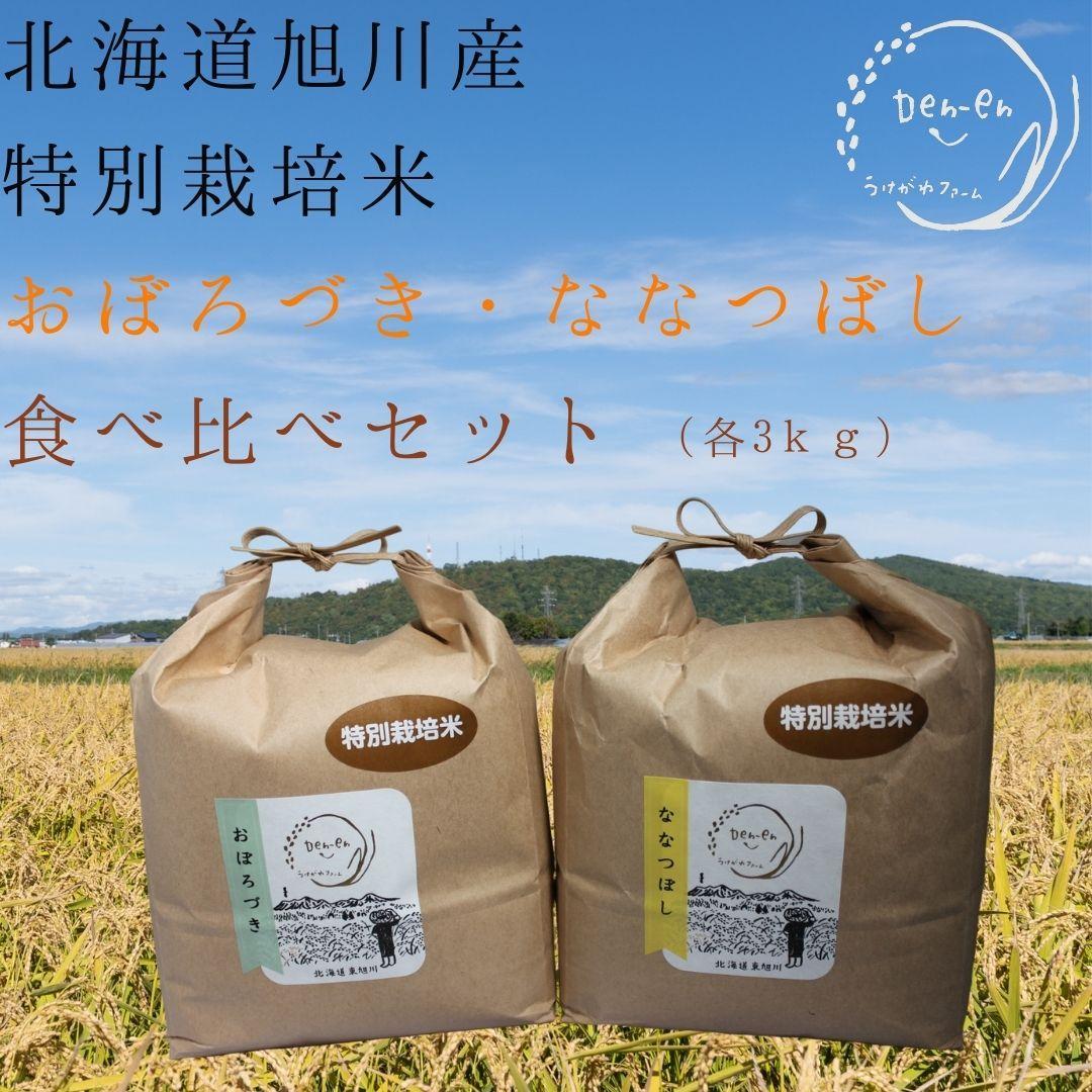 特別栽培米　2種セット 計6kg（3kg×2袋)(おぼろづき/ななつぼし)　令和6年産　新米_03194