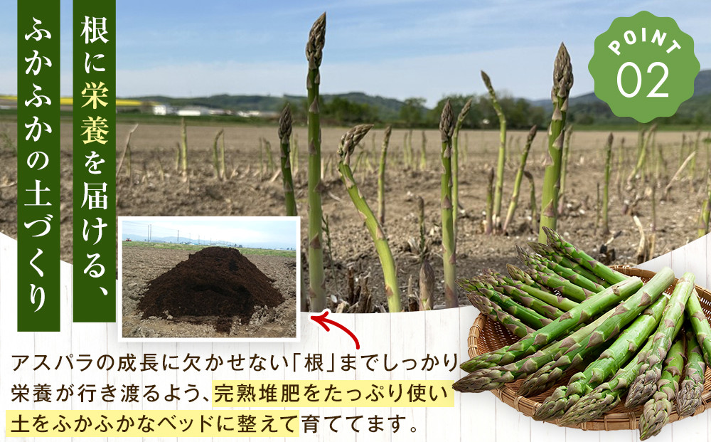 【2026年先行予約】露地物朝採りアスパラ　鮮度保持フィルム入り　2～3L　500g×2　合計1kg(5月中旬発送開始予定) 【 アスパラ アスパラガス 朝採り とれたて 野菜 旬 小分け 保存 産直 産地直送 お取り寄せ 旭川市 北海道 】_03817