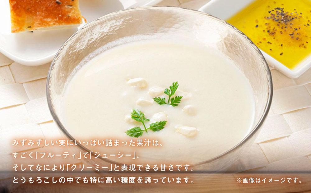 【26年発送先行予約】あさひやま動物園しろくまコーン 8本（約3.2kg）2026年8月下旬から発送開始予定 【 とうもろこし 人気 北海道 糖度 野菜 白いとうもろこし 白いスイートコーン 産地直送 ホワイトレディ コーン 玉蜀黍 旬 お取り寄せ 旭川市 北海道 】　_03811
