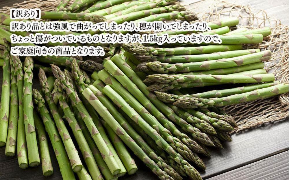 â2026幎å
è¡äºçŽâãèš³ãããé²å°ç©ææ¡ãã¢ã¹ãã© 1.5kgïŒ500gÃ3ïŒé®®åºŠä¿æãã£ã«ã å
¥ã(5æäžæ¬çºééå§äºå®) ã ã¢ã¹ãã© ã¢ã¹ãã©ã¬ã¹ ææ¡ã ãšãã㊠éè æ¬ å°åã ä¿å ç£çŽ ç£å°çŽé ãåãå¯ã æå·åž åæµ·é ã_01589