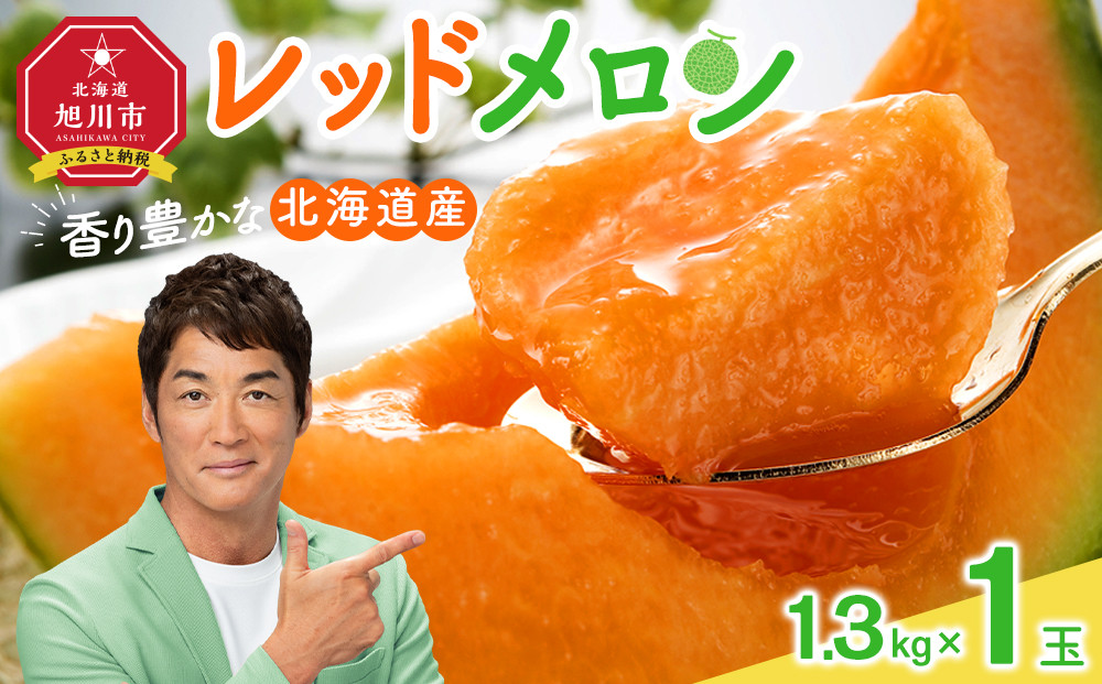 【26年発送先行予約】香り豊かな 北海道レッドメロン 1.3kg×1玉(2026年7月下旬から発送開始予定) 【 果物 くだもの フルーツ メロン 赤肉 赤肉メロン 旬 お取り寄せ 甘い 北海道産 旭川市 北海道 】_05408