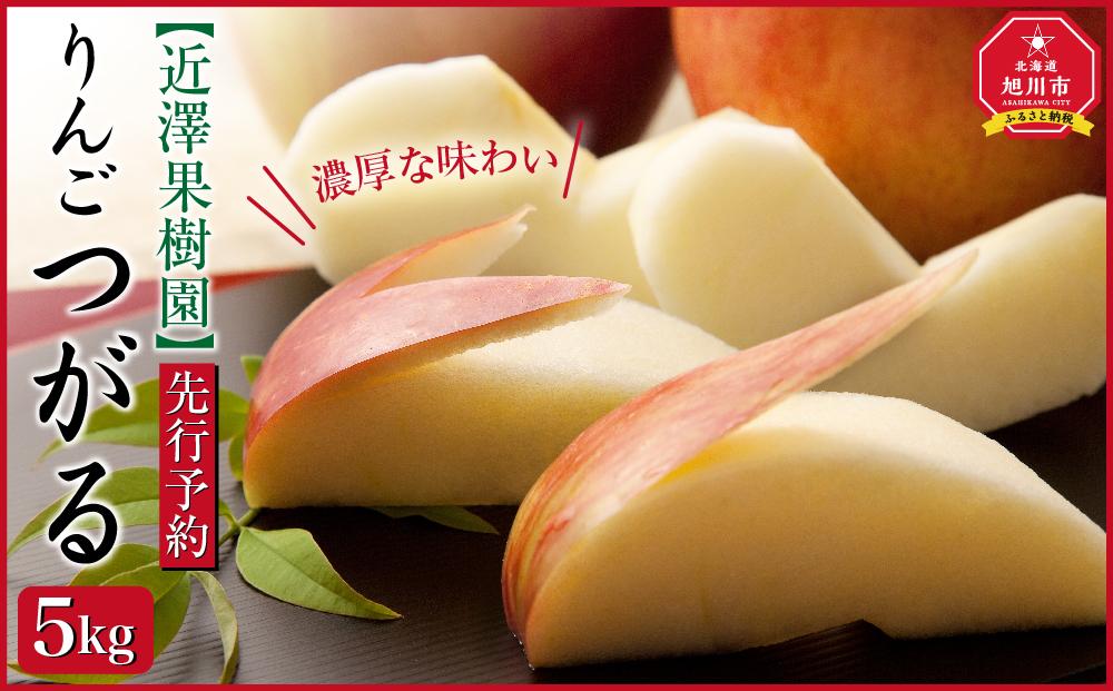 【先行予約】近澤果樹園　りんご「つがる」　5kg(2023年9月下旬順次発送予定)