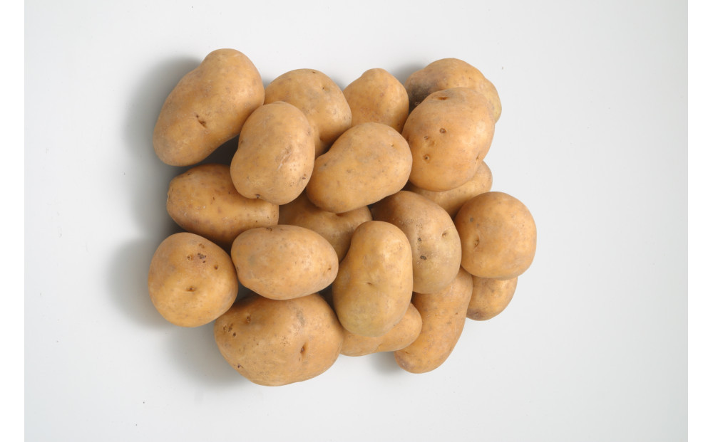 蝗ス逕」蜀キ蜃埼手除縲繧、繝ウ繧ォ縺ョ繧√*繧√2陲九そ繝繝_05596