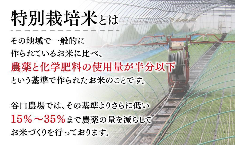 【母の日ギフト】令和5年産ゆめぴりか白米２kg　ゆめぴりか甘酒セット　大雪山系の豊かな水で育った谷口農場特別栽培米_00927