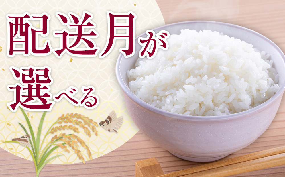 令和7年産 旭川産ゆめぴりか5kg (精白米)【 特A 新米 北海道産 白米 精米 ご飯 ごはん 米 5kg お米 ゆめぴりか 旭川産  旭川市ふるさと納税 北海道ふるさと納税 特A ふるさと納税 旭川市 北海道 】_05311