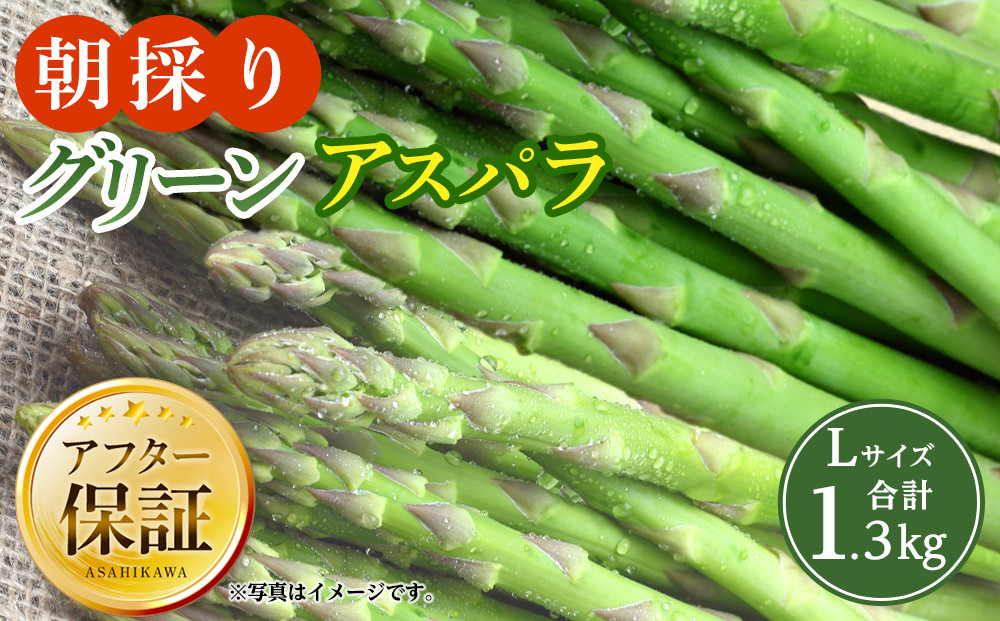 朝採り グリーンアスパラ L 1.3kg (2026年5月下旬発送開始) 【 アスパラ アスパラガス グリーンアスパラ 朝採り 直送 産地直送 旬 春 北海道 とれたて お取り寄せ 冷蔵配送 冷蔵 旭川市 】_01706