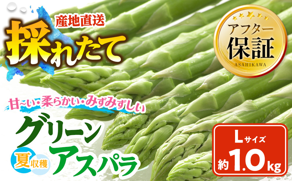 【2026年先行予約】夏収穫グリーンアスパラ Lサイズ 1kg（2026年7月上旬から発送開始予定）【 アスパラ アスパラガス 朝採り とれたて 野菜 旬 小分け 保存 産直 産地直送 お取り寄せ 旭川市 北海道 】_00414