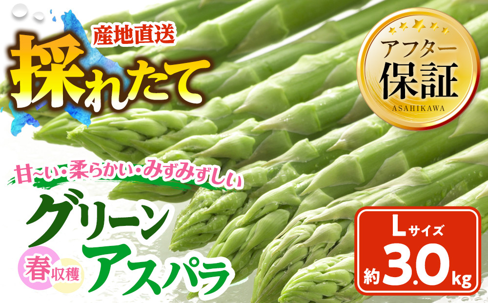 春収穫グリーンアスパラLサイズ（500g×6）約3.0kg（2026年6月上旬から発送開始予定）【 アスパラ アスパラガス 朝採り とれたて 野菜 旬 小分け 保存 産直 産地直送 お取り寄せ 旭川市 北海道 】_05533