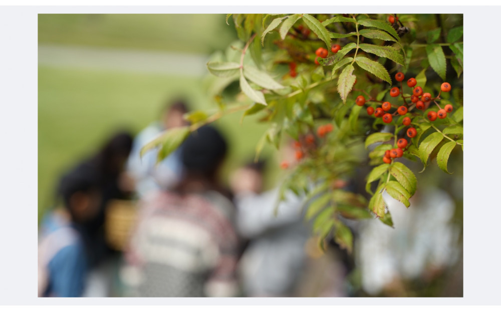 Nanakamado Asahikawa フレグランススプレー_05434