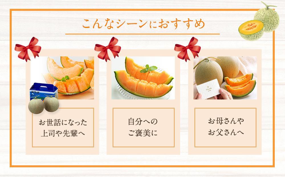 【26年発送先行予約】北海道「赤肉メロン」LL玉×2個 (2026年7月発送開始予定) 【 果物 くだもの フルーツ メロン 赤肉 赤肉メロン 旬 お取り寄せ 甘い 北海道産 旭川市 北海道 】_04754